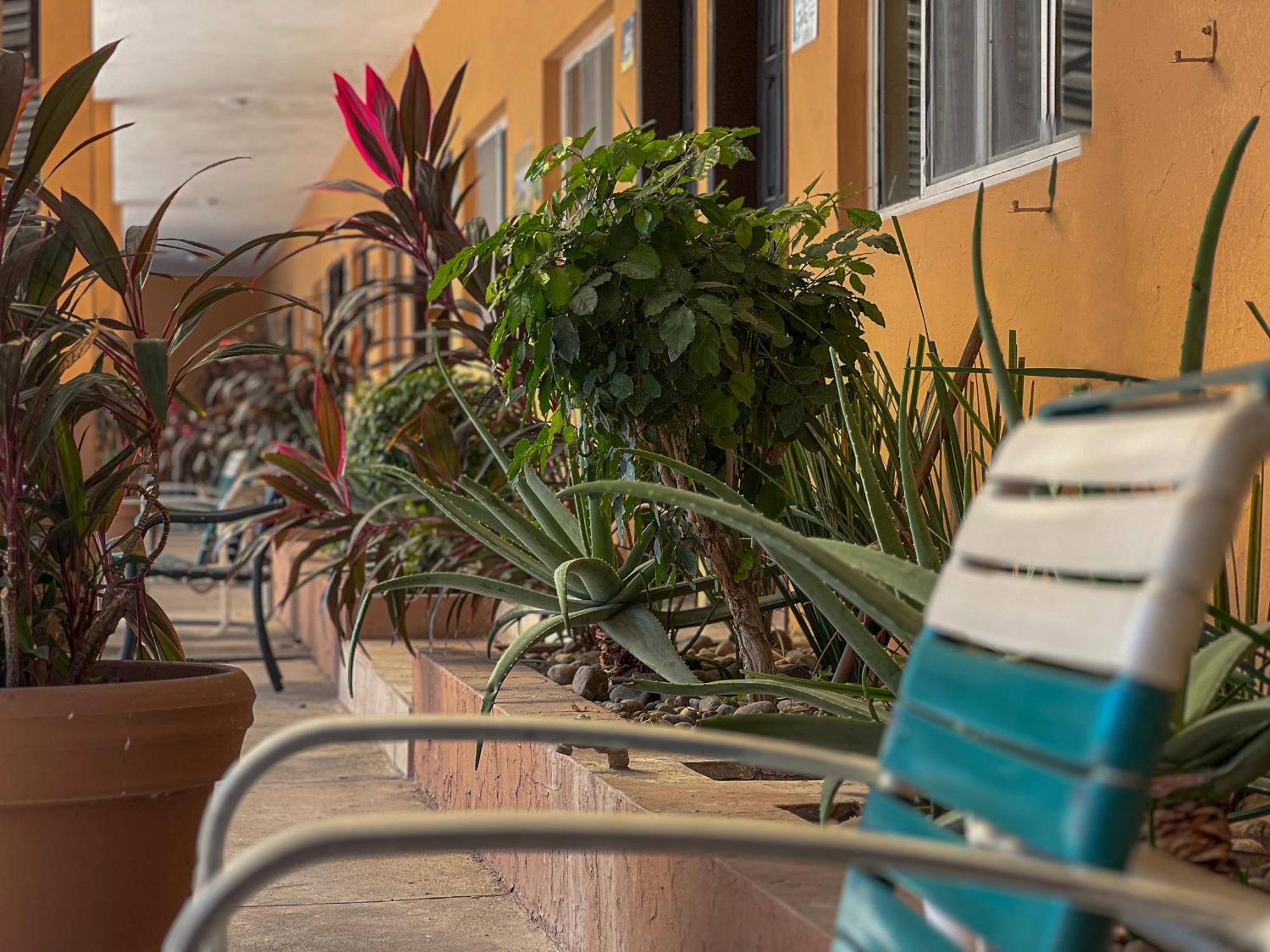 Oasis 3* Mazatlán